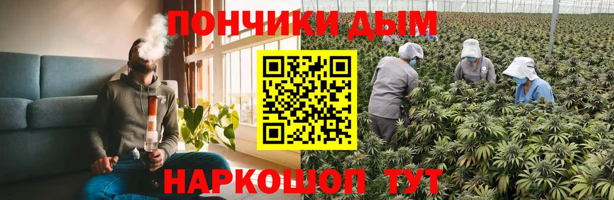 Канабис гибрид  Шишки марихуана сатива  Марихуана планчик  Вход с VPN  Каннабис марихуана  Ишим 